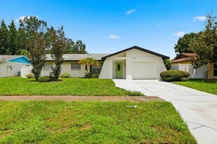 14505 Farm Hills Pl in Tampa, FL - Building Photo