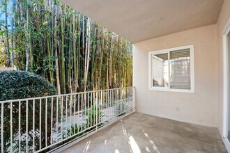 1127 18th St in Santa Monica, CA - Building Photo - Building Photo