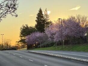 2033 Silvercrest Dr in Fairfield, CA - Building Photo - Building Photo