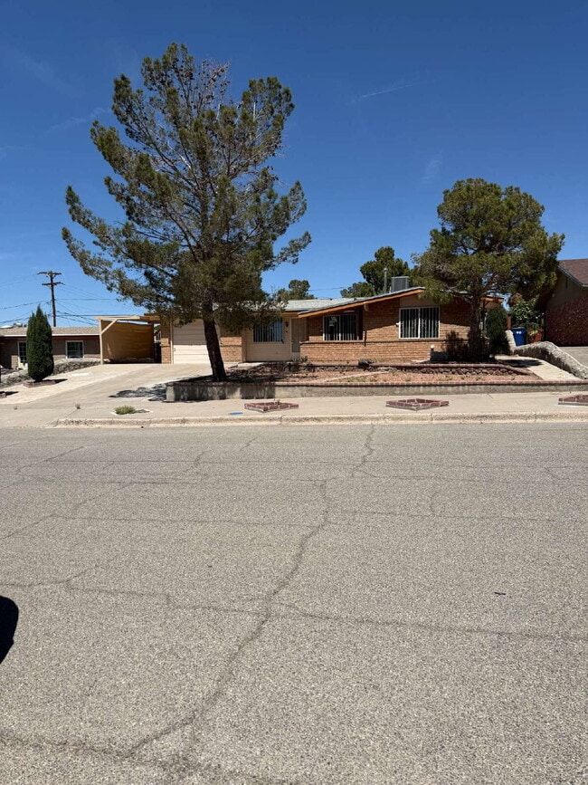 property at 10449 Chinaberry Dr