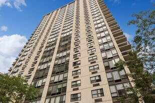 1313 N Ritchie Ct in Chicago, IL - Building Photo