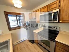 1555 Shadow Run Ct in Steamboat Springs, CO - Building Photo - Building Photo