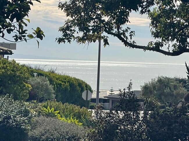 140 Paseo Farrallon in Aptos, CA - Building Photo - Building Photo