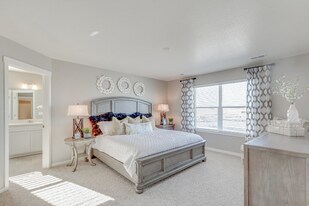 13935 Wild Lupine St in Parker, CO - Building Photo