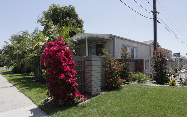 Buena Park Manor in Buena Park, CA - Foto de edificio - Building Photo