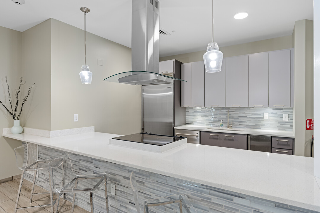 Attain Downtown in Norfolk, VA - Building Photo