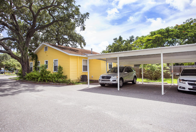 914 Druid Rd E in Clearwater, FL - Foto de edificio - Building Photo