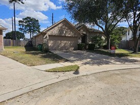 17202 Timber Cliff Ct in Cypress, TX - Building Photo