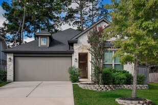 151 Silva Creek Trl in Willis, TX - Building Photo