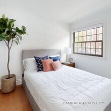 1200 Massachusetts Ave in Cambridge, MA - Building Photo - Building Photo