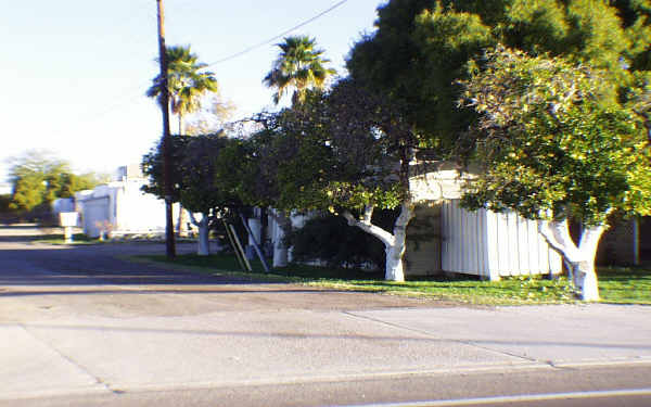 Mesa Grande MHP-110 Spaces in Mesa, AZ - Foto de edificio - Building Photo