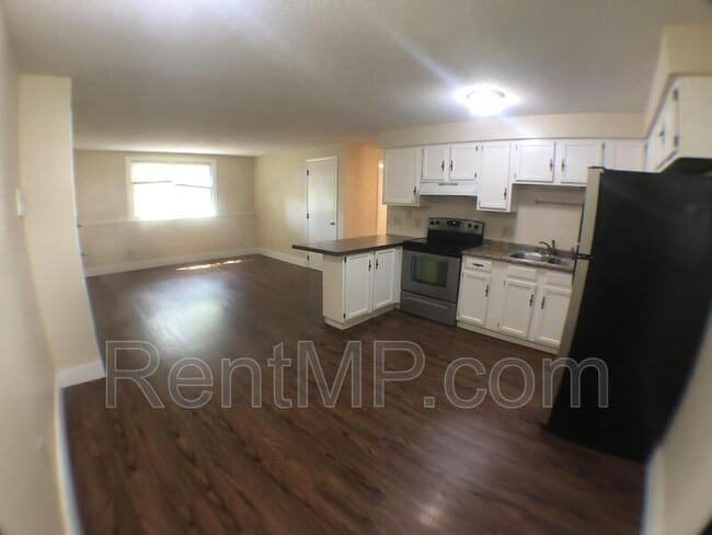 303 S Oak St in Mt. Pleasant, MI - Building Photo - Building Photo