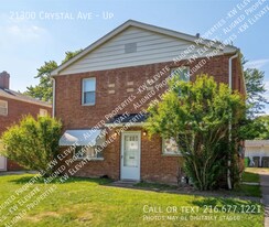 21300 Crystal Ave in Euclid, OH - Building Photo