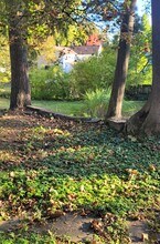 423 Mitchell St in Ithaca, NY - Foto de edificio - Building Photo