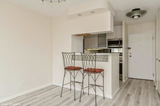 1313 N Ritchie Ct in Chicago, IL - Building Photo - Building Photo