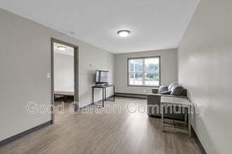 48 Water St in Fredonia, NY - Building Photo - Building Photo