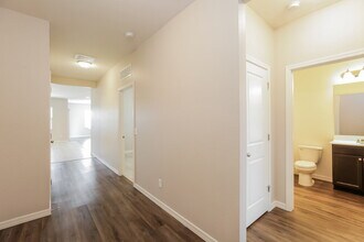 37317 W Bello Ln in Maricopa, AZ - Building Photo - Building Photo