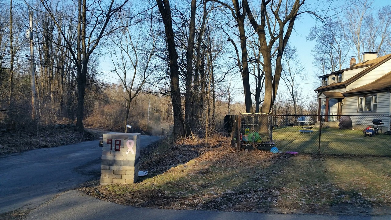 98 Whitetail Run in Chester, NY - Building Photo