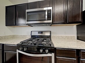 2415 Hiacintas Way in Houston, TX - Building Photo - Building Photo