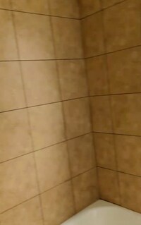 1922 E Belvedere Ave photo'