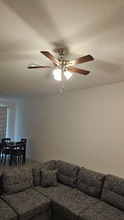 11115 Wishing Cloud Rd in Land O Lakes, FL - Building Photo - Building Photo