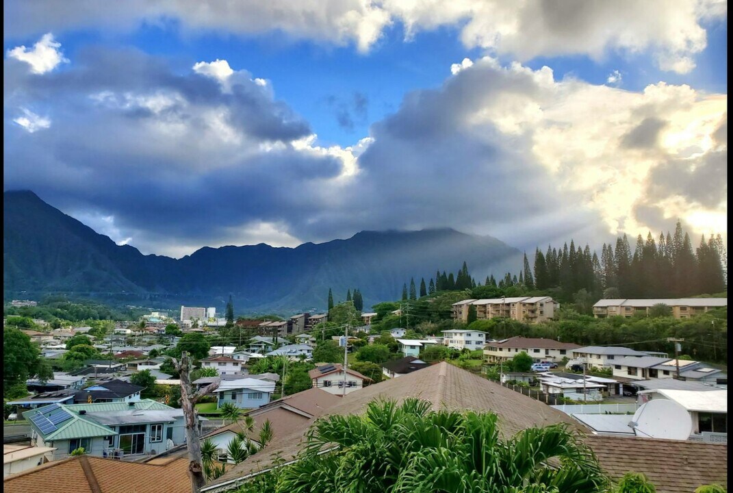 45-217 Lilipuna Rd, Unit A2 Mtn View in Kaneohe, HI - Foto de edificio