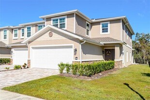 5360 Riverwalk Preserve Dr in New Port Richey, FL - Building Photo