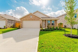 16110 Domestic Dove Wy in Hockley, TX - Building Photo - Building Photo