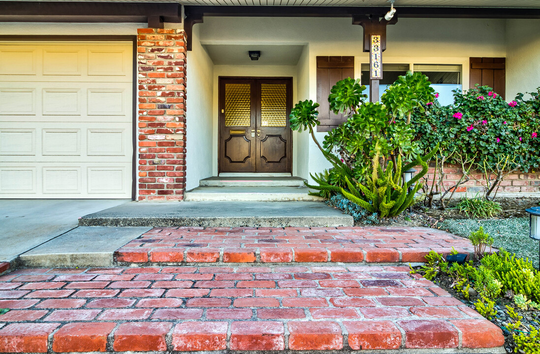 33161 Ocean Hill Dr in Dana Point, CA - Foto de edificio