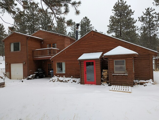 879 Tincup Terrace in Bailey, CO - Building Photo - Building Photo