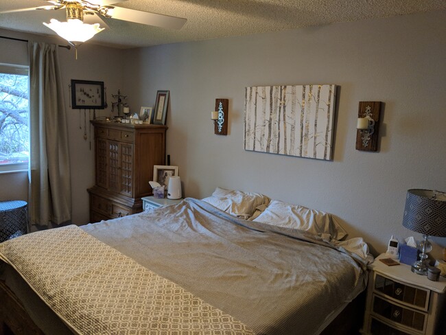 6004 Little Johnny Dr in Colorado Springs, CO - Building Photo - Building Photo