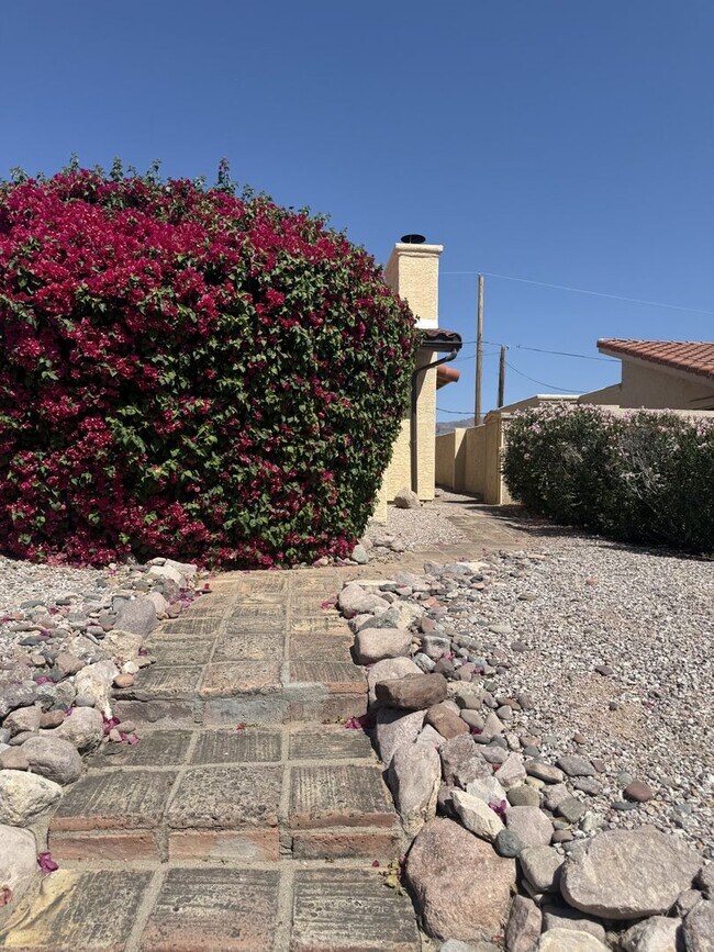 9870 E La Palma Ave in Gold Canyon, AZ - Building Photo - Building Photo