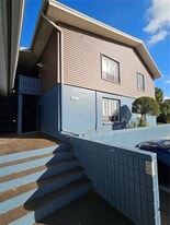 7611 Paula Dr in Tampa, FL - Building Photo