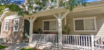 1020 Andrews Peak Dr in Fort Collins, CO - Building Photo