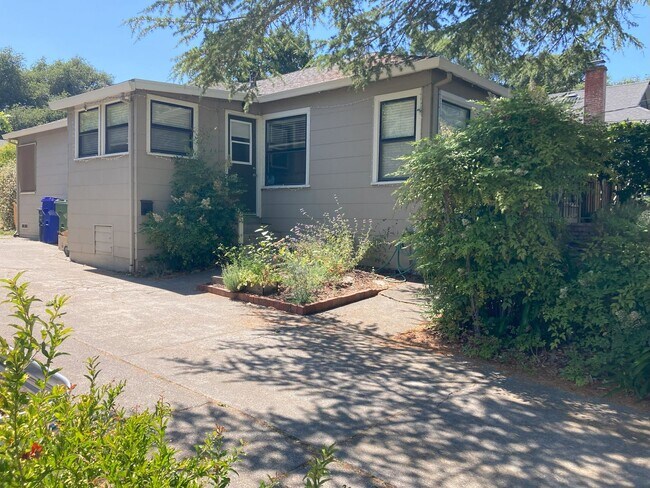 276 Murphy Ave in Sebastopol, CA - Building Photo - Building Photo