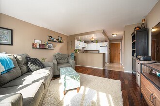 211 E Ohio St in Chicago, IL - Building Photo - Building Photo