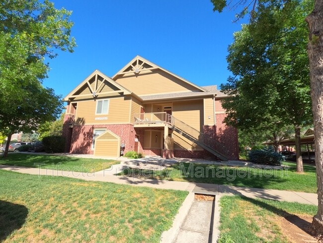 property at 2445 Windrow Dr