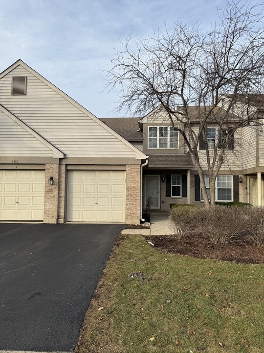 1710 Autumn Ave in Schaumburg, IL - Building Photo