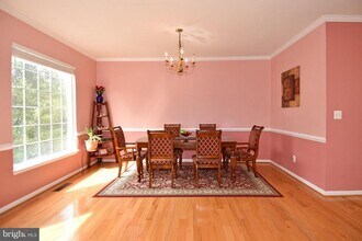 43696 Phelps Terrace in Ashburn, VA - Building Photo - Building Photo
