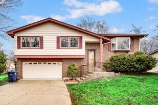 541 S Warrington Rd in Des Plaines, IL - Building Photo