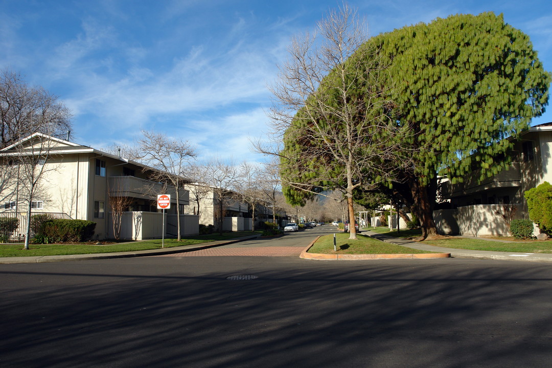 Orchard Maples Apartments in Vacaville, CA - Building Photo