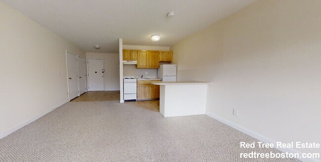 66 Homer Ave in Cambridge, MA - Building Photo - Building Photo