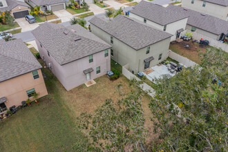 5219 White Chicory Dr in Ruskin, FL - Building Photo - Building Photo