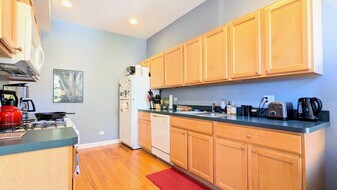 3719 W Byron St, Unit 2 in Chicago, IL - Building Photo