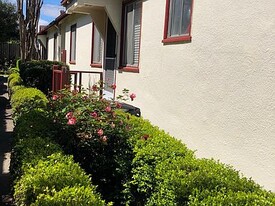 241 Myrtle Rd, Unit E in Burlingame, CA - Building Photo