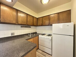 535 W Aldine Ave in Chicago, IL - Building Photo - Building Photo
