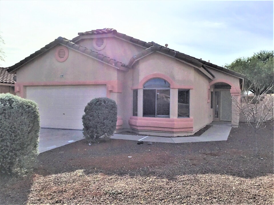 238 E Camino Limon Verde in Sahuarita, AZ - Building Photo