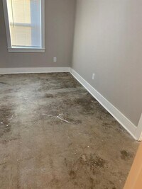 4601 Hain St photo'