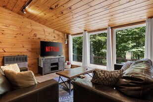 1390 Snake Nation Rd in Blue Ridge, GA - Building Photo