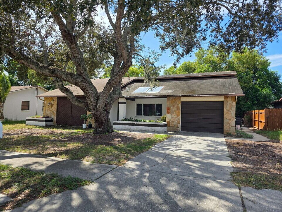 11425 Scallop Dr in Port Richey, FL - Building Photo